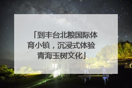 到丰台北粮国际体育小镇，沉浸式体验青海玉树文化